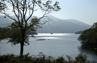 Beautiful Park Killarney