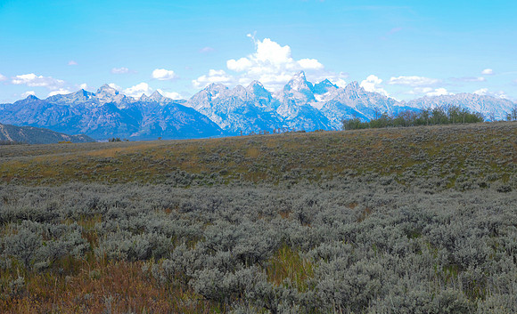 View from "Shane" Cabin