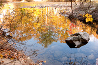 Autumn Reflections