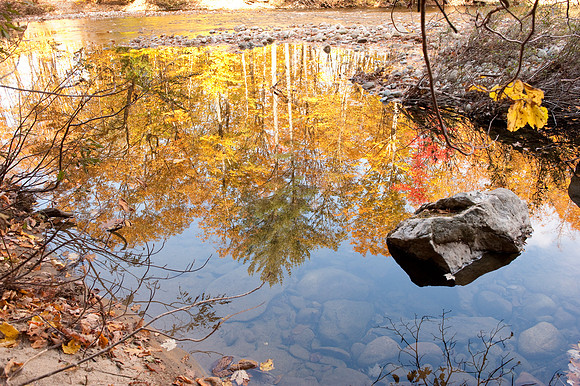 Autumn Reflections
