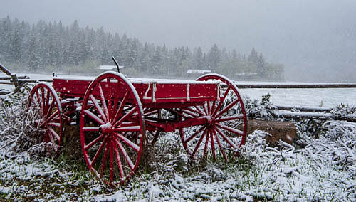 Spring Snow Wyoming