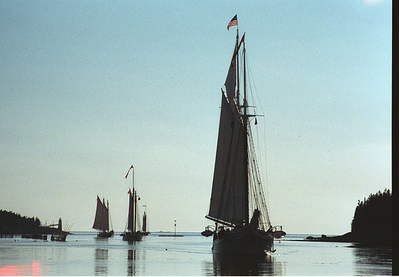 Safe Harbor