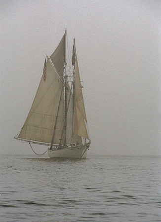 Fog