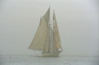 Fog
