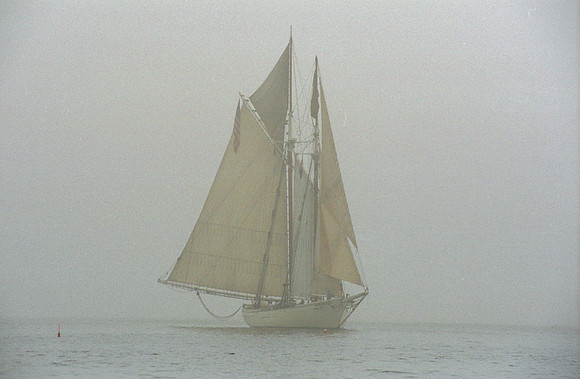 Fog