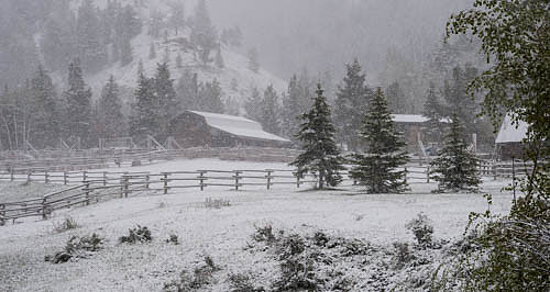 Spring Snow Wyoming