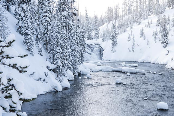 Waterfalls Yellowstone N.P.