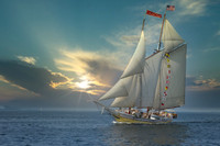 Sailing Ships
