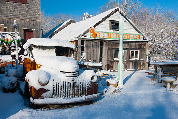 Lobster Shack