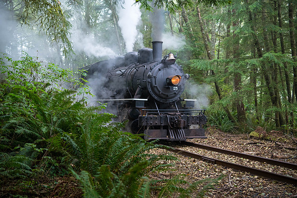 Oregon Coast Scenic RR