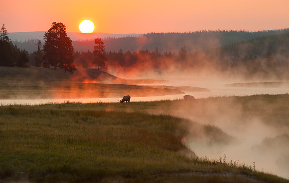 Dawn on the Snake