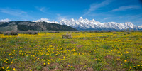 Jackson Hole Wyoming