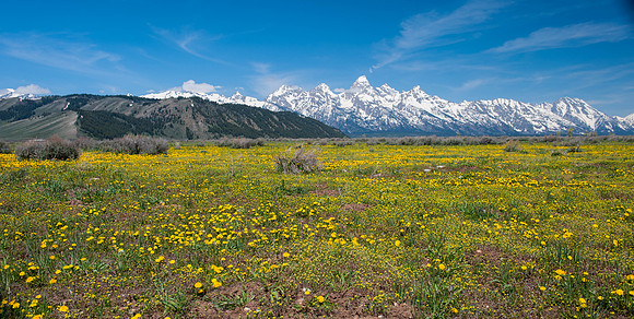 Jackson Hole Wyoming