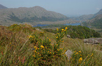 Ring of Kerry