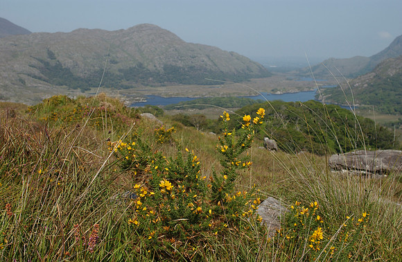 Ring of Kerry