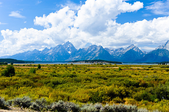 Grand Tetons