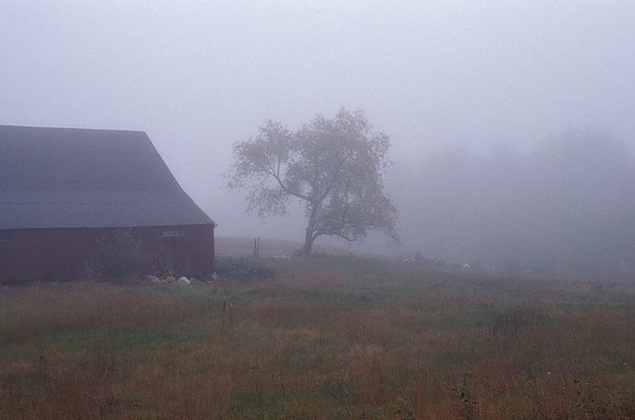 Morning Mist