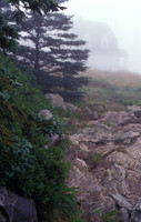 Foggy Monhegan