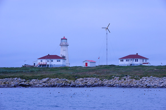 Machias Seal Island