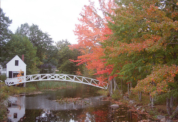 Somesville Autumn
