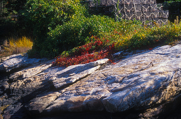 Downeast