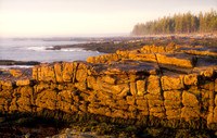 Sunrise at the Seawall