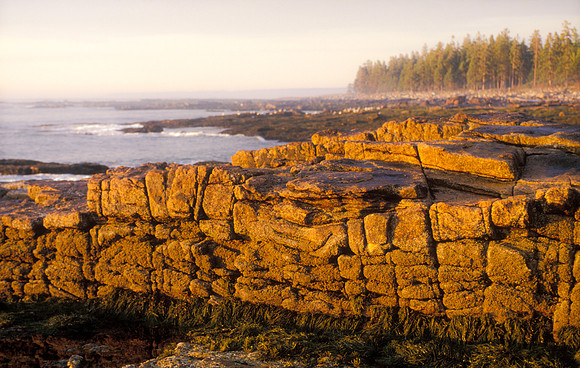 Sunrise at the Seawall