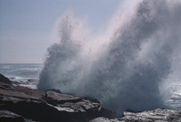 Schoodic Surf