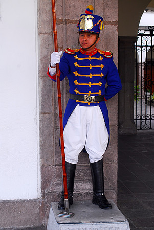 Palace Guard