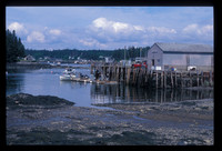 Low Tide