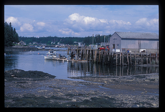 Low Tide