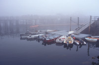 Waiting for Fog to Lift