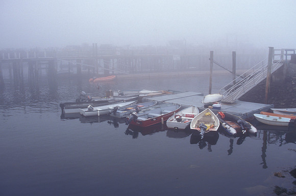 Waiting for Fog to Lift