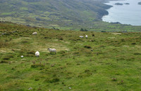 Ring of Kerry