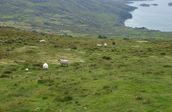 Ring of Kerry