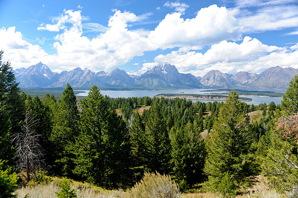 Grand Tetons