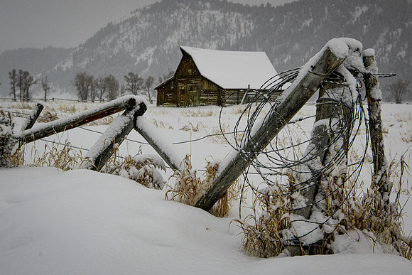 Mormon Row Snowstorm