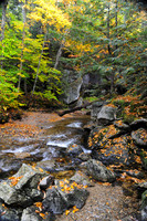Grafton Notch Maine