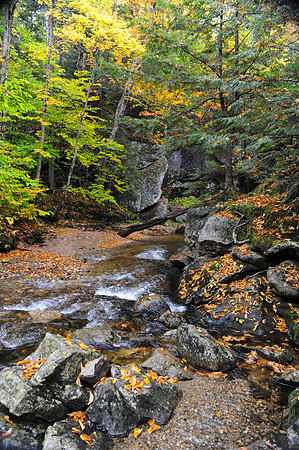 Grafton Notch Maine