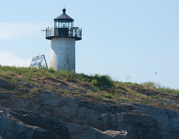 Pond Island Light