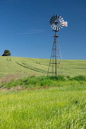 Palouse Country