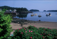 Cutler Harbor