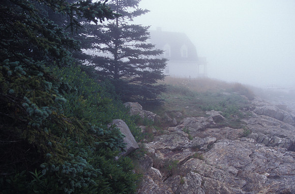 Foggy Monhegan ll