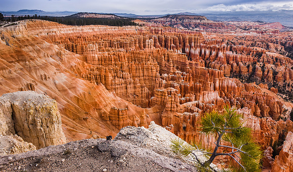 Bryce canyon