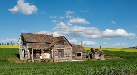 Palouse Country