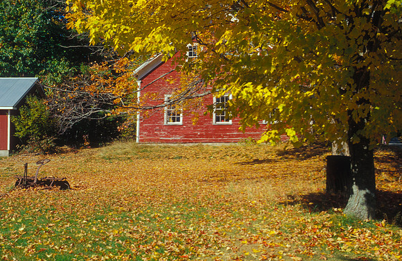 Autumn Afternoon