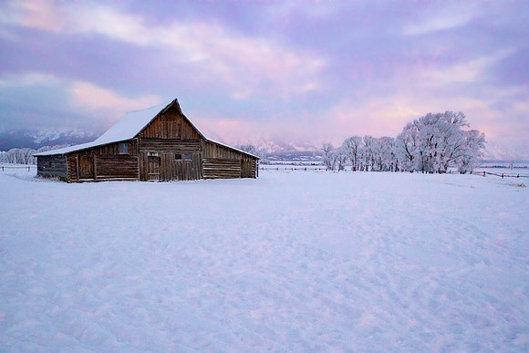 Morning Glow on Mormon Row