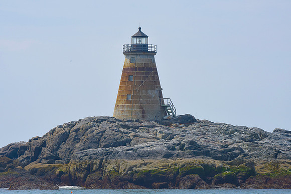 Saddleback Light