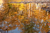 Autumn Reflections