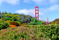Golden Gate